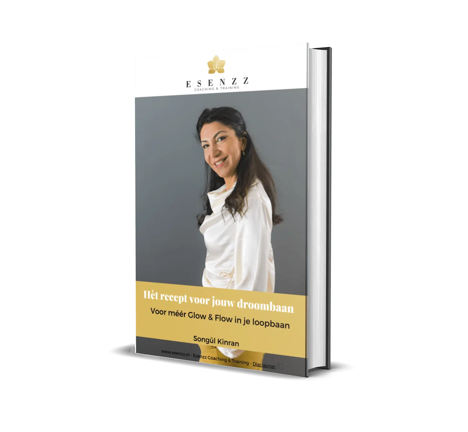 E boek-Het recept voor jouw droombaan Omslag E-boek Het recept voor jouw droombaan van Esenzz Loopbaancoaching