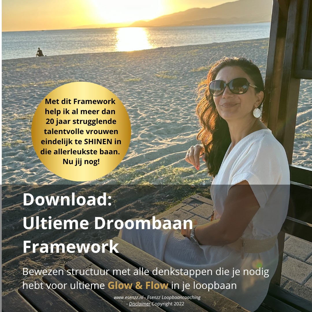 Omslag ultieme droombaan Framework