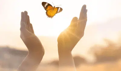 Foto van vrijlaten van een vlinder, het gaat over bevrijden van je belemmerende mindset bij Esenzz Loopbaancoaching