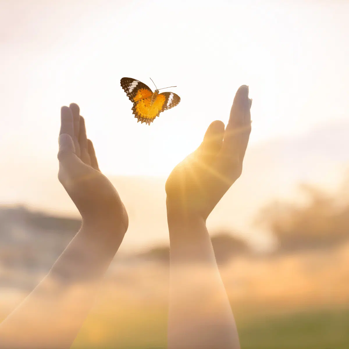 Esenzz- neem regie op je loopbaan Foto van vrijlaten van een vlinder, het gaat over bevrijden van je belemmerende mindset bij Esenzz Loopbaancoaching